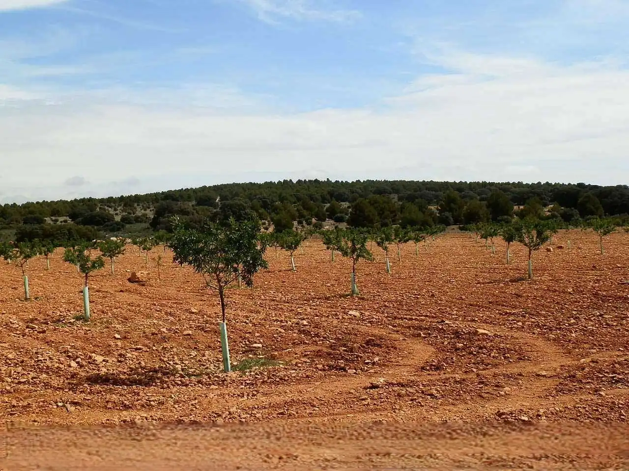 Terreno rustico in vendita a CM-3119 4, imagen 2