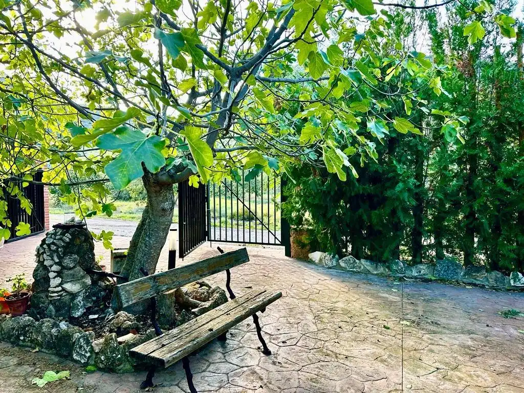 Terrassa de Finca rústica en venda en Carcabuey amb Calefacció, Traster i Piscina