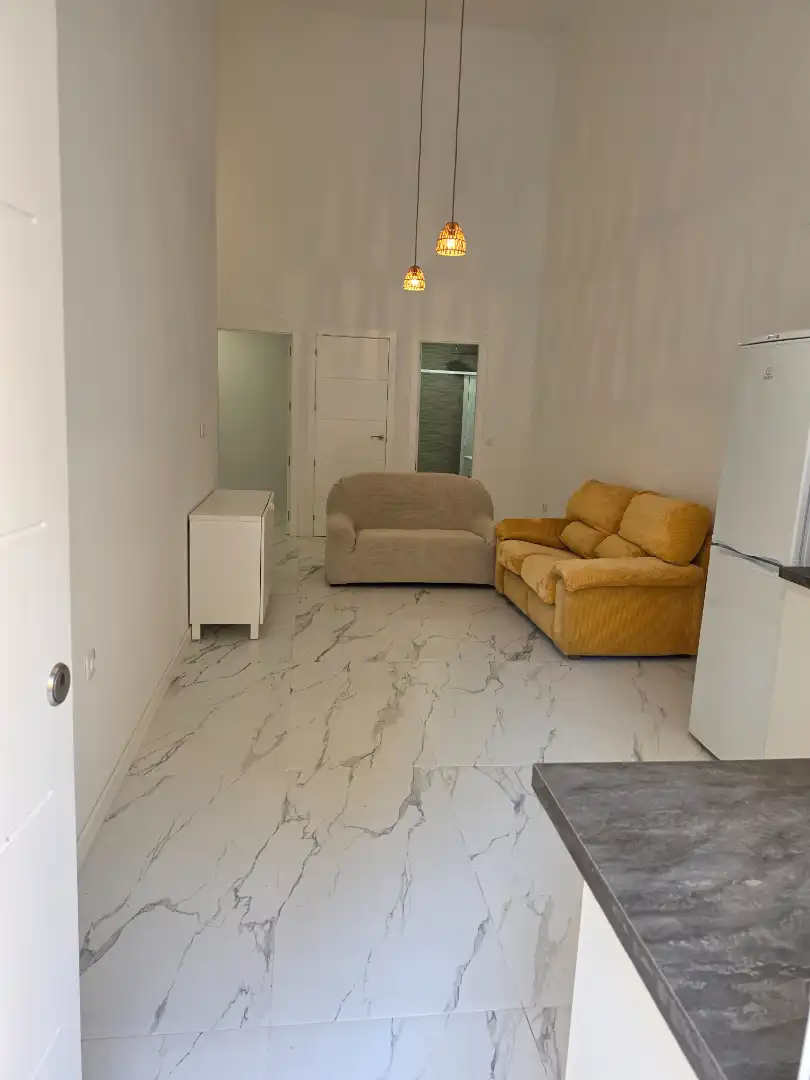 Estudio de alquiler en Calle Maestro Guerrero, 11, Parque Ayala - Jardín de la Abadía - Huelín