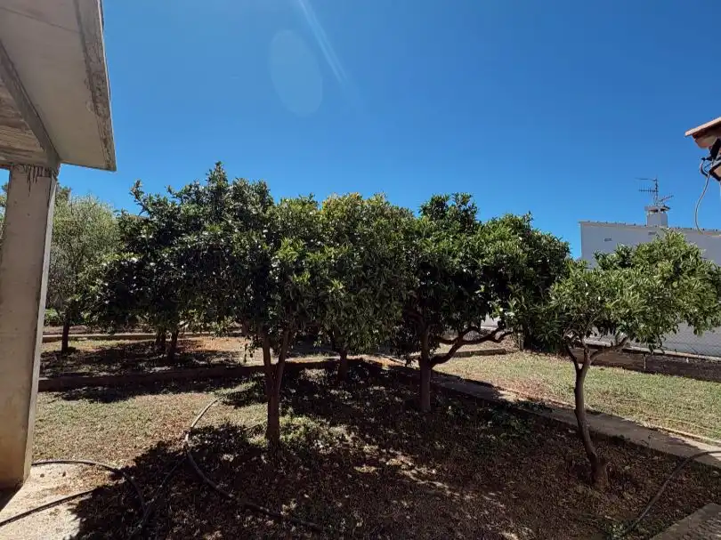 Maison avec jardin à vendre à Carrer Molí Nou 1, imagen 45