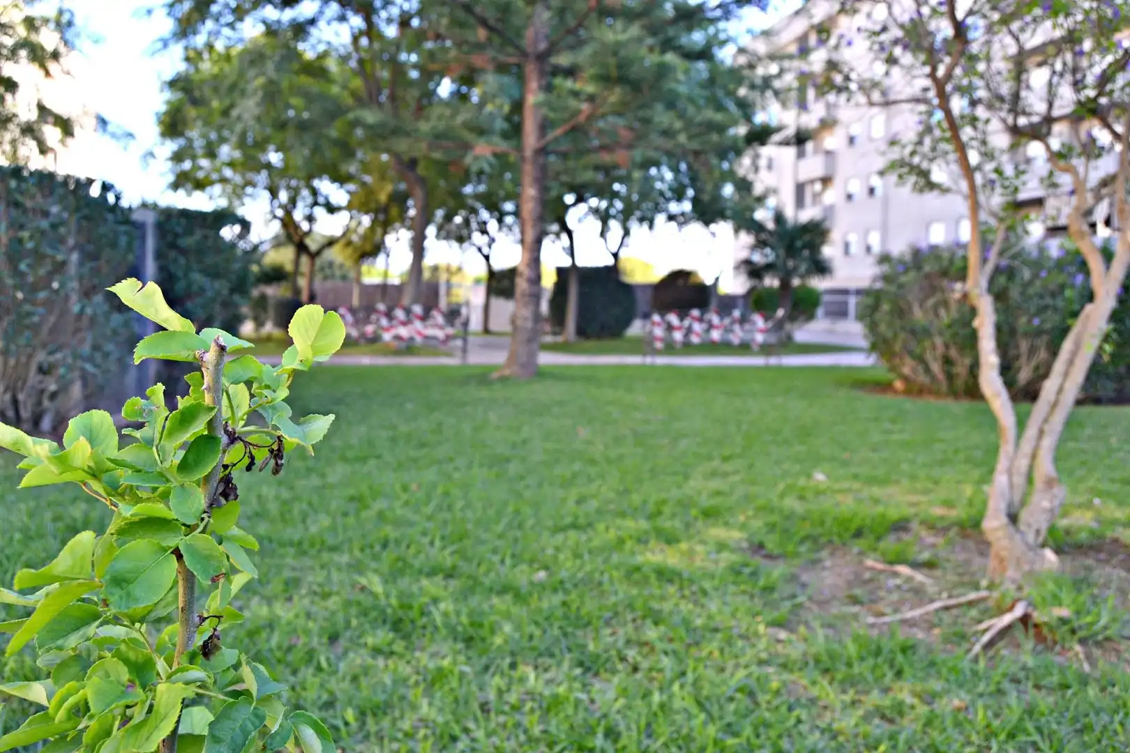 Garden of Flat for sale in Jerez de la Frontera  with Terrace, Balcony and Community pool