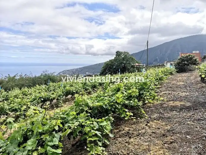 Finca rústica en venda en La Orotava amb Parquet, Terrassa i Traster