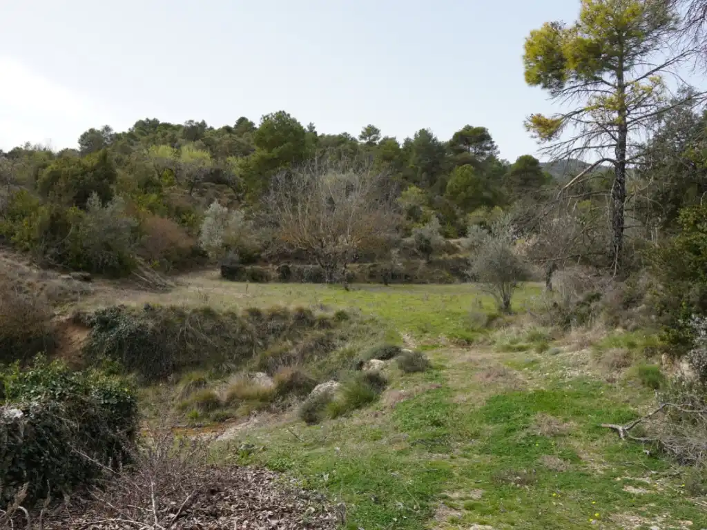 Casa o chalet en venta en Calle Alta, Abizanda