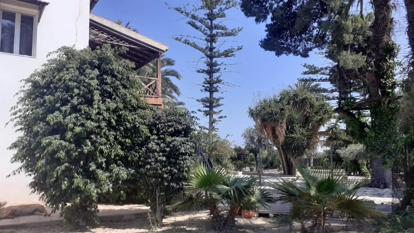 Jardí de Casa o xalet en venda en Elche / Elx amb Aire condicionat, Jardí privat i Terrassa