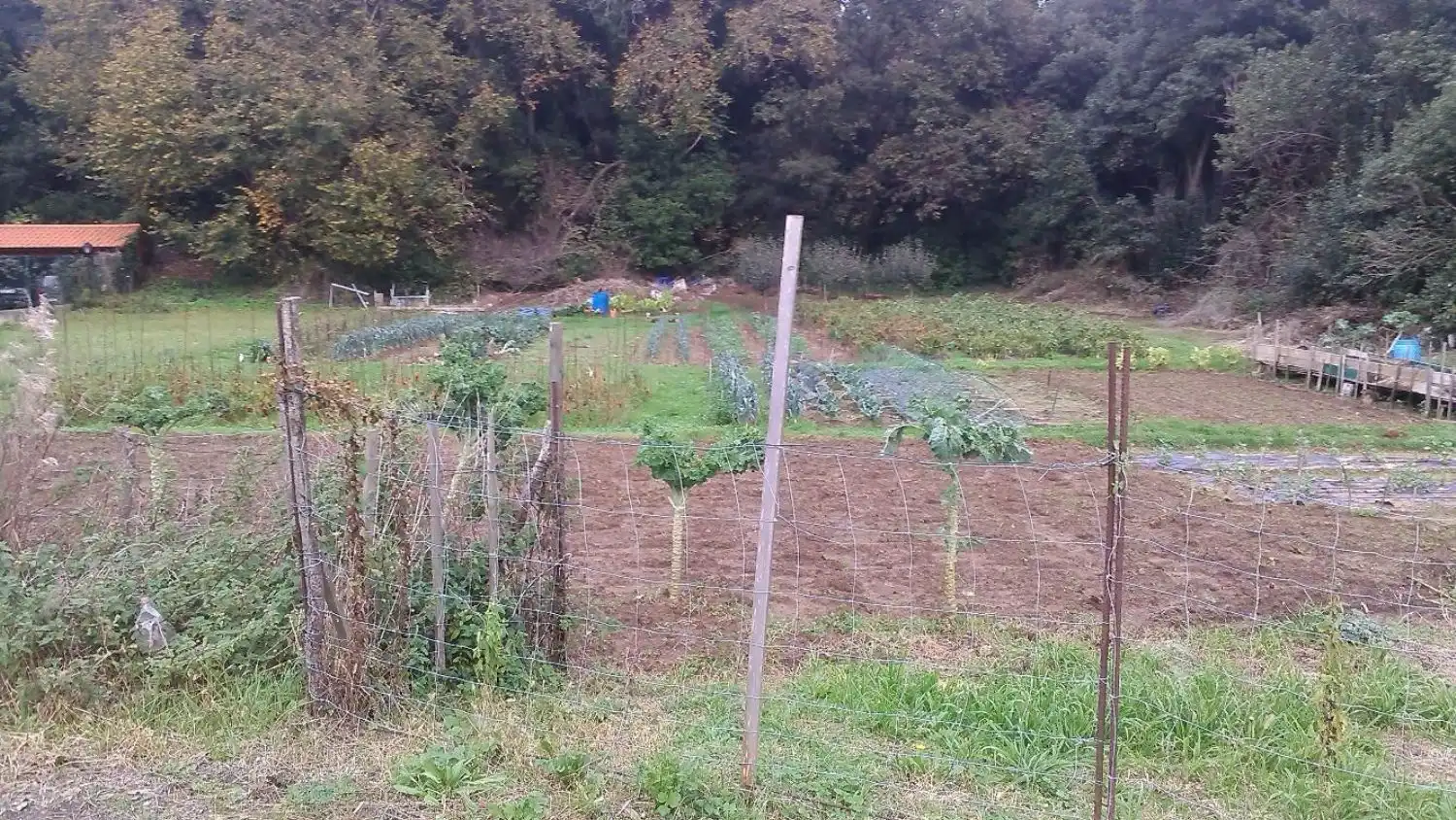 Residencial en venda en Arnuero