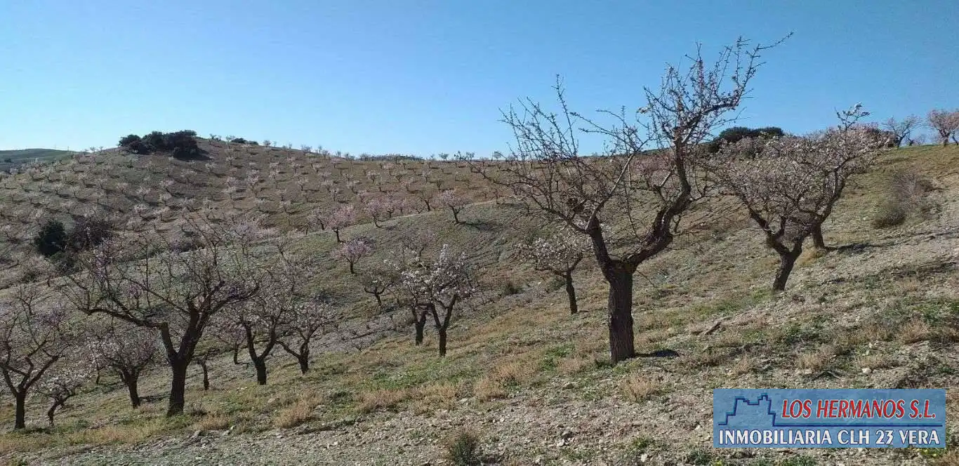 Finca rústica en venta en Vélez-Rubio