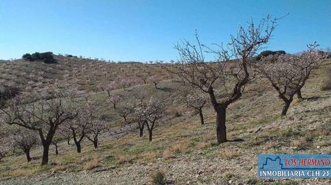 Foto 4 de Finca rústica en venda a Vélez-Rubio, Almería