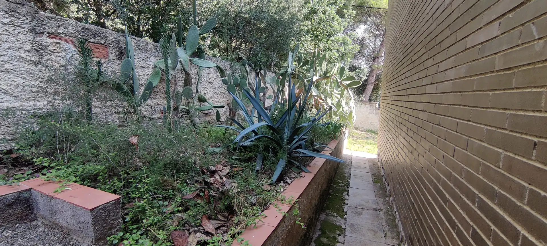 Casa o chalet en venta en Bellamar