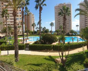 Piscina de Apartament en venda en El Campello amb Aire condicionat i Terrassa