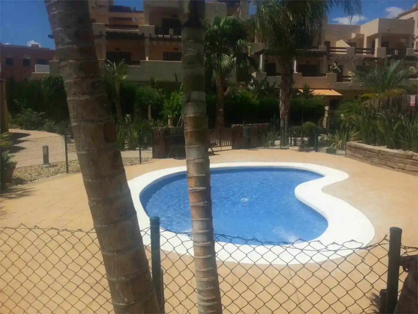 Schwimmbecken von Wohnung zur Miete in Puerto Vera