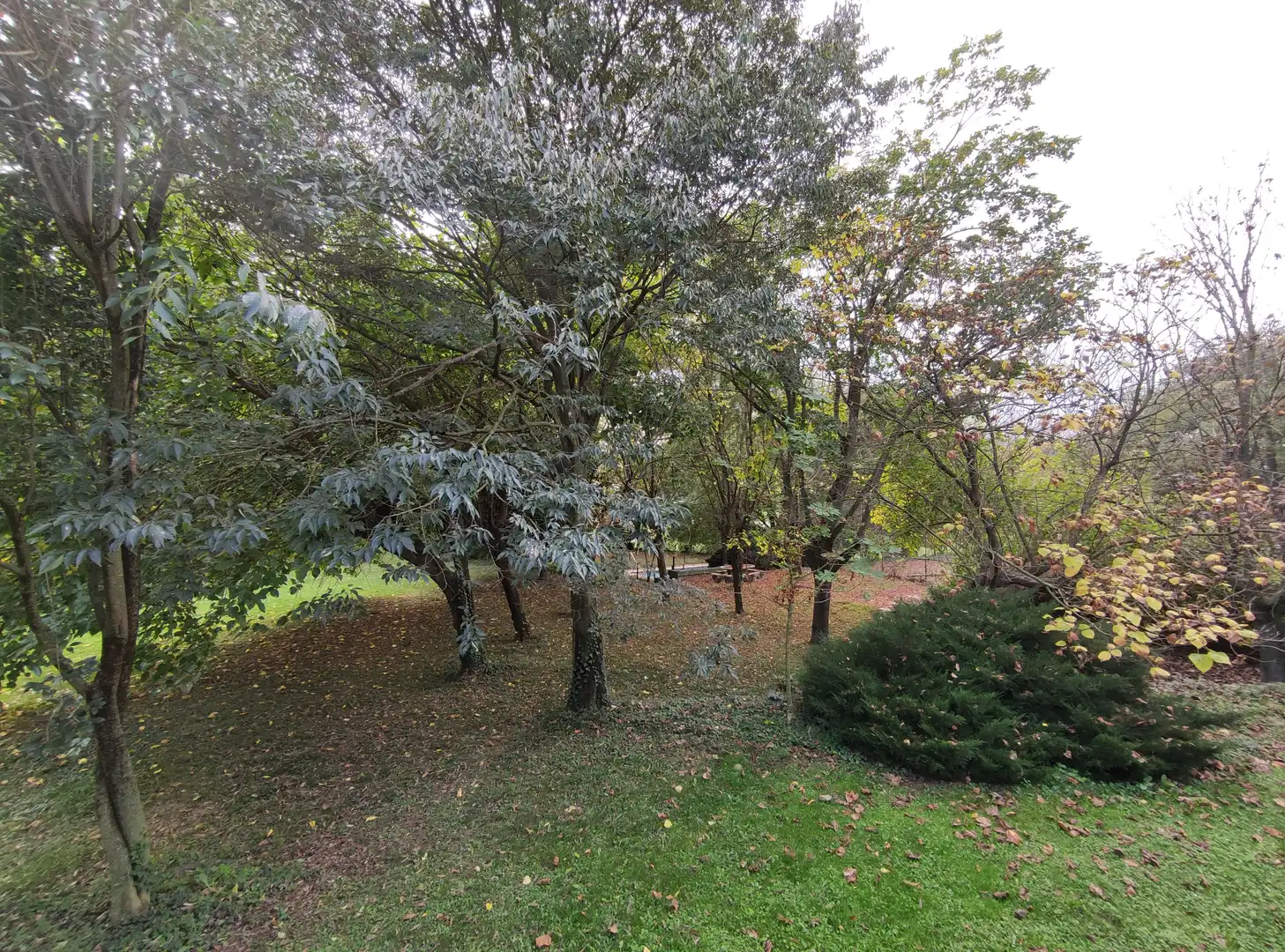Casa o xalet en venda a Carrer de la Rompuda, Sant Joan Les Fonts