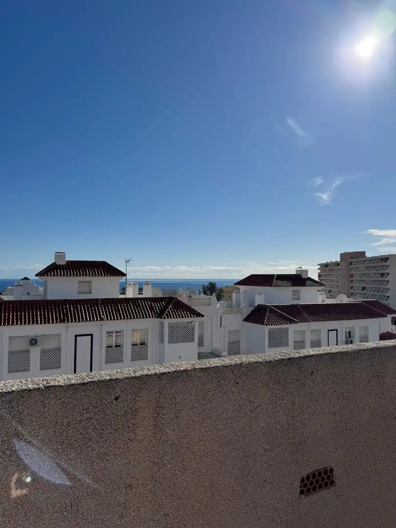 Àtic amb terrassa en venda a El Pinillo