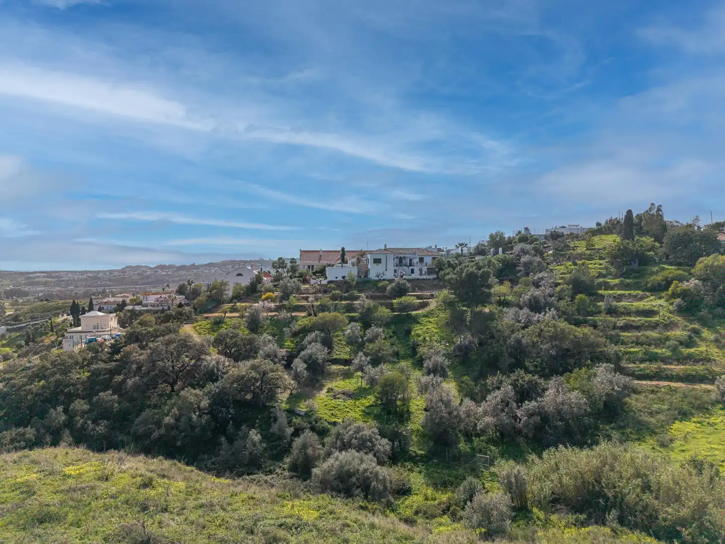 Vista exterior de Casa o xalet en venda en Mijas amb Aire condicionat, Calefacció i Jardí privat