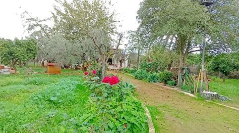 Foto 3 de Casa o chalet en venta en Umbrete, Umbrete, Sevilla