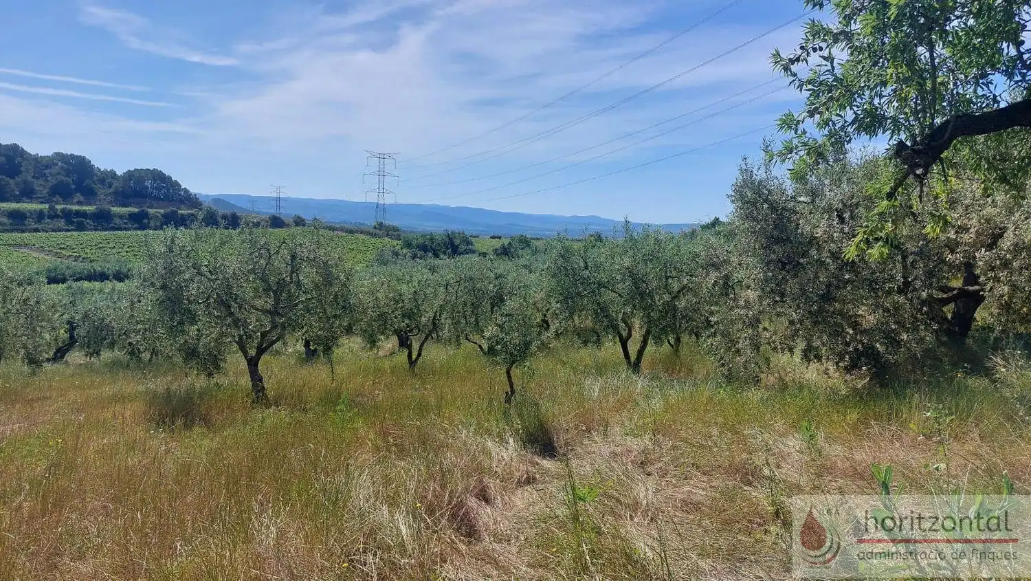 Terrenys i solars en venda a Sant Quintí de Mediona, imagen 8