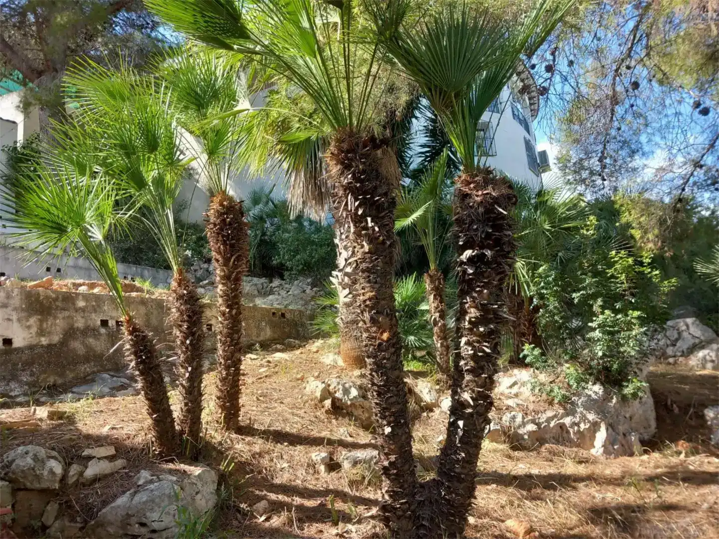 Piso en venta en La Sella