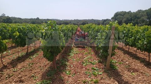 Foto 3 de Casa o xalet en venda a Costitx, Illes Balears