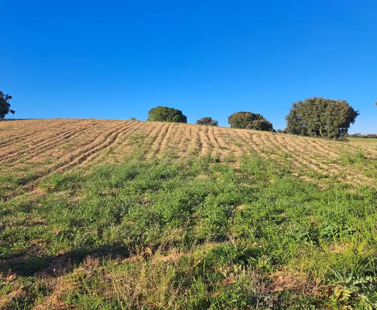 Terreno en venta en Villagarcía del Llano