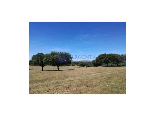 Casa-chalet en Venta en Brozas