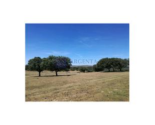 House or chalet for sale in Brozas