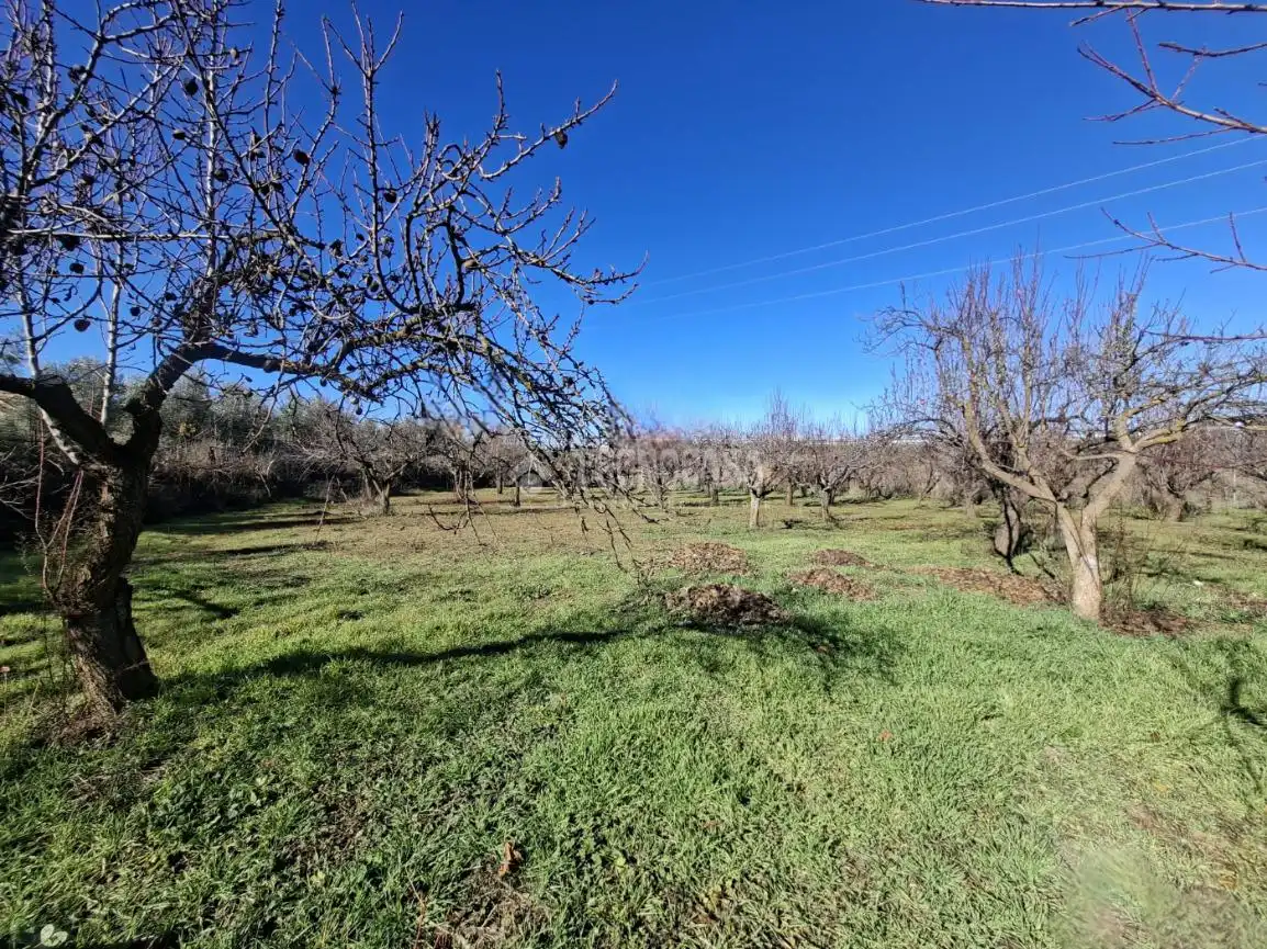 Casa en venda a Guadix, imagen 20