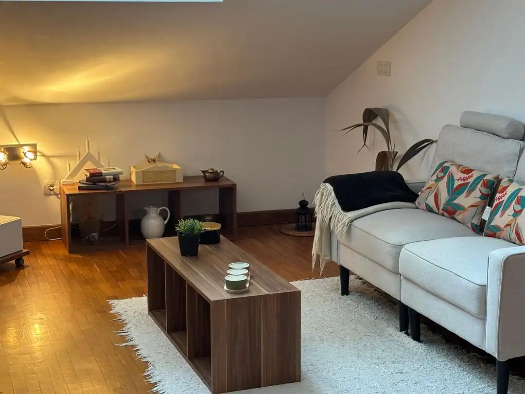 Sala de estar de Piso en venta en Ordizia, Gipuzkoa