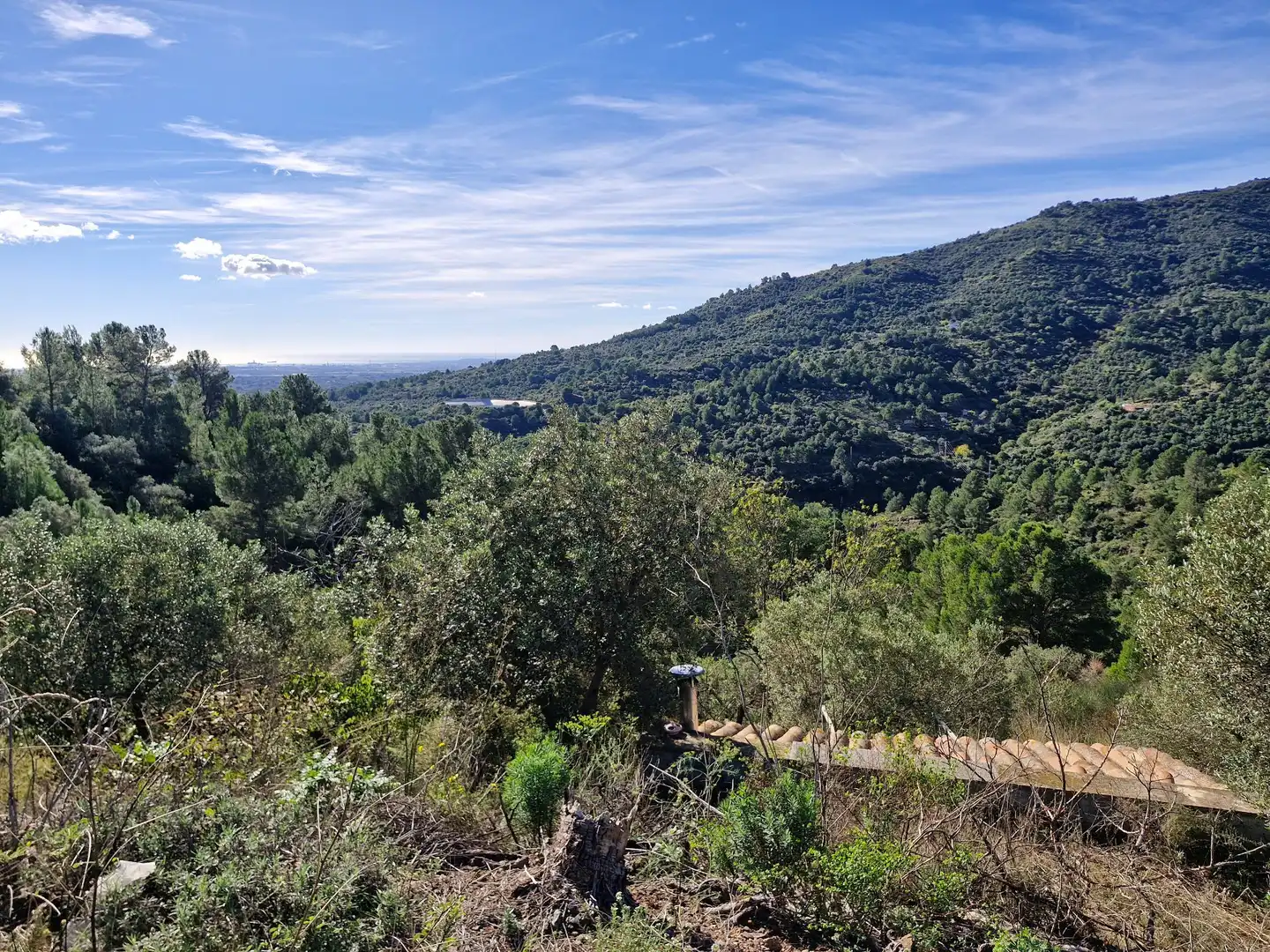 Vista exterior de Terreno en venta en La Selva del Camp