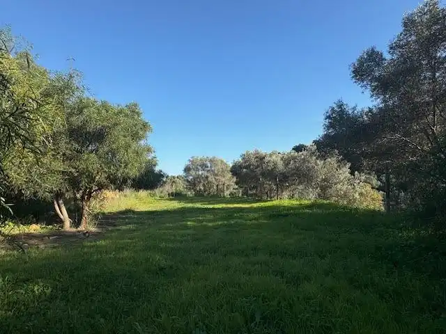 Finca rústica en venta en Mijas con Calefacción, Jardín privado y Terraza