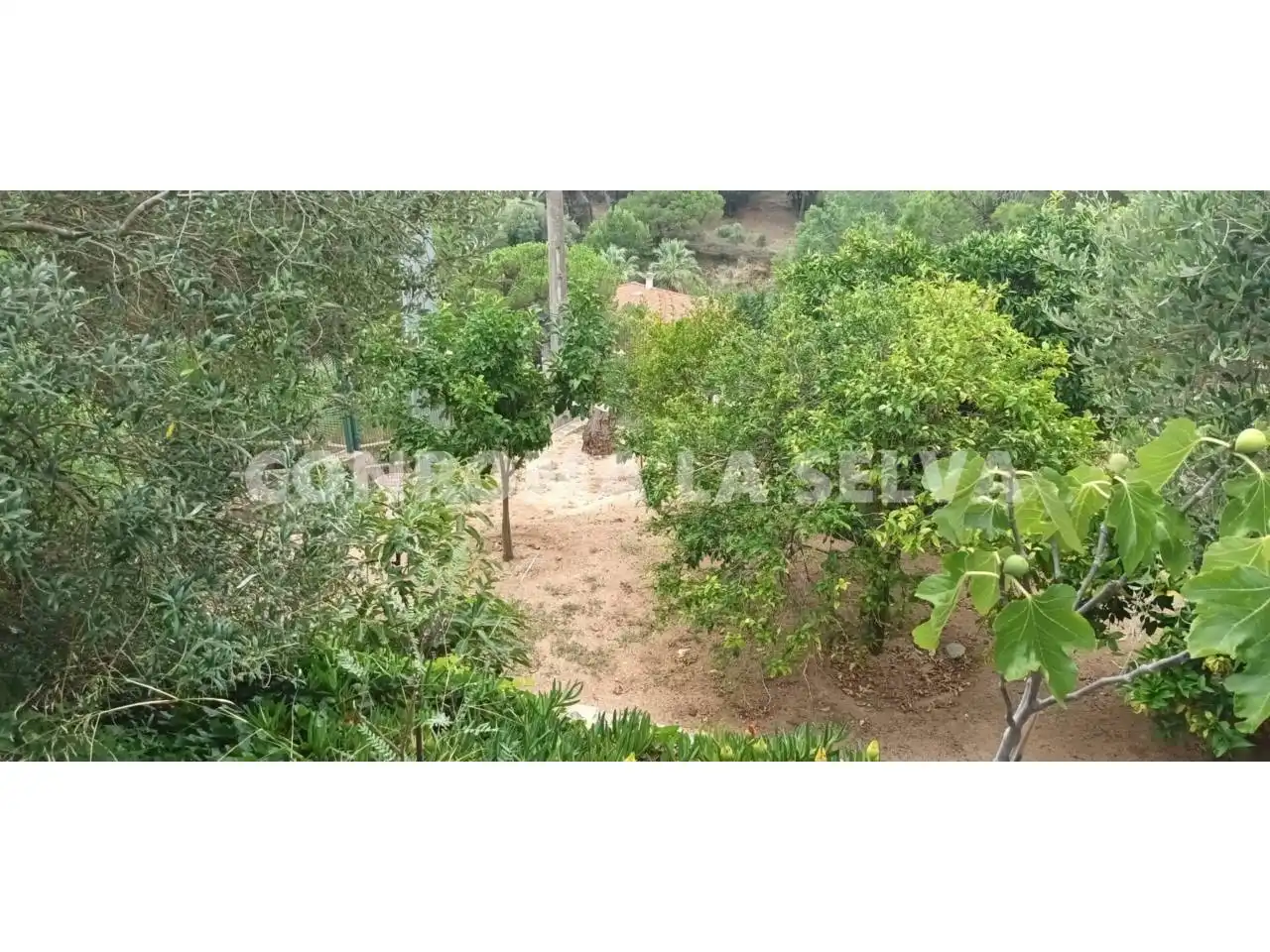 Wohnbaugrundstück zum Verkauf in Lloret Verd - Els Pinars, imagen 11