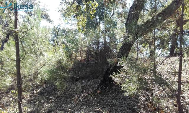 Terreno en Venta en Valdelarco