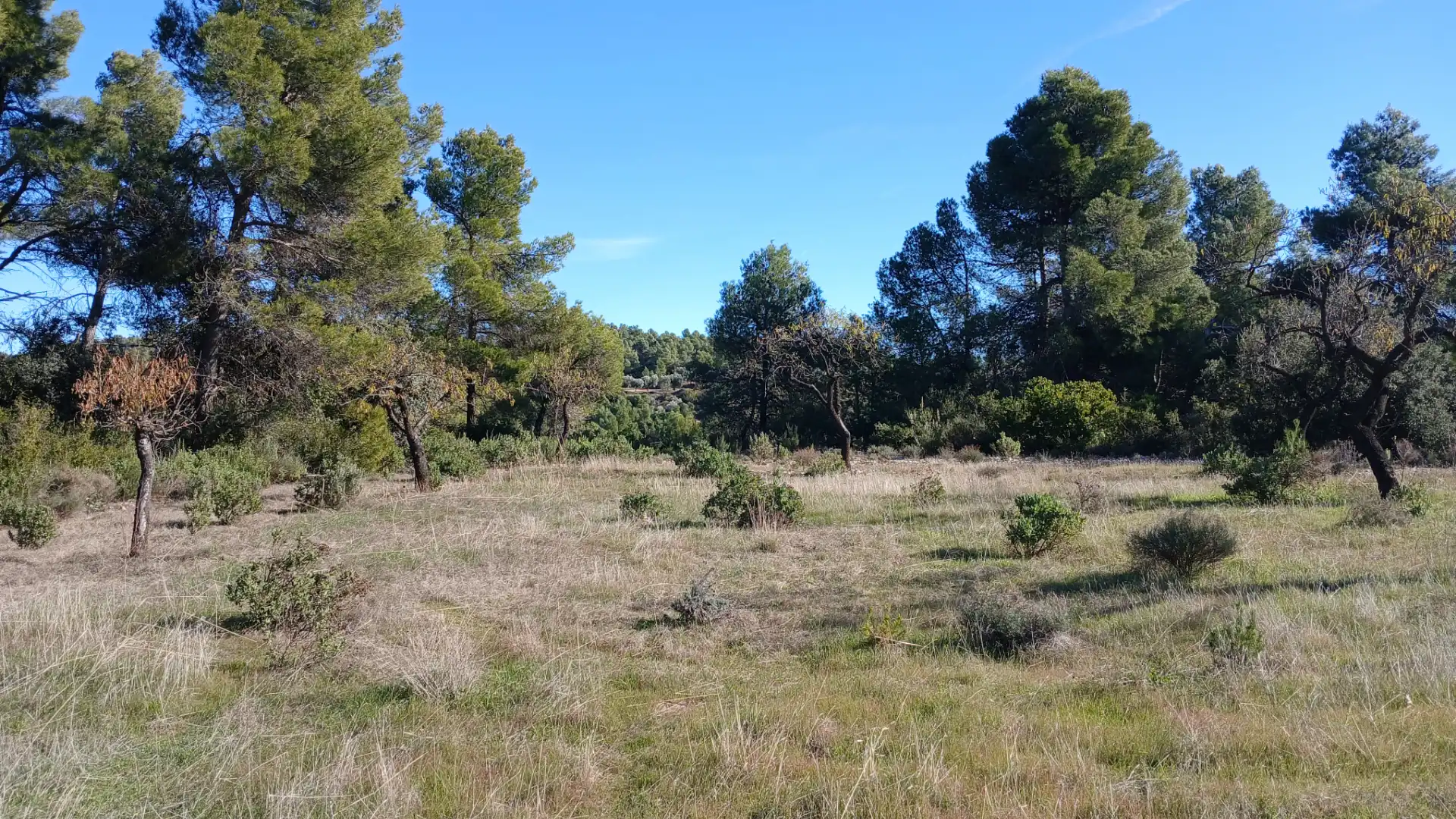 Terreno rustico in vendita a Calle Tremedal 13, imagen 9
