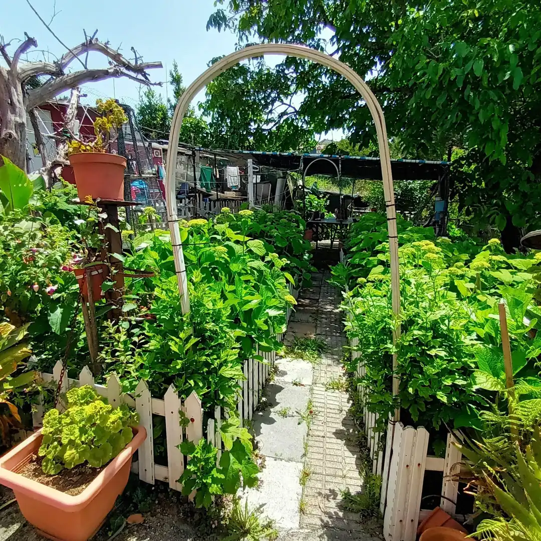 Jardín de Casa o chalet en venta en Vigo  con Calefacción, Jardín privado y Terraza