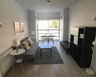 Living room of Flat to rent in  Madrid Capital  with Air Conditioner, Heating and Private garden