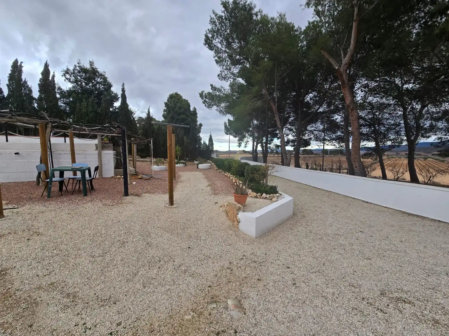 Jardí de Casa o xalet en venda en Yecla amb Jardí privat, Terrassa i Piscina
