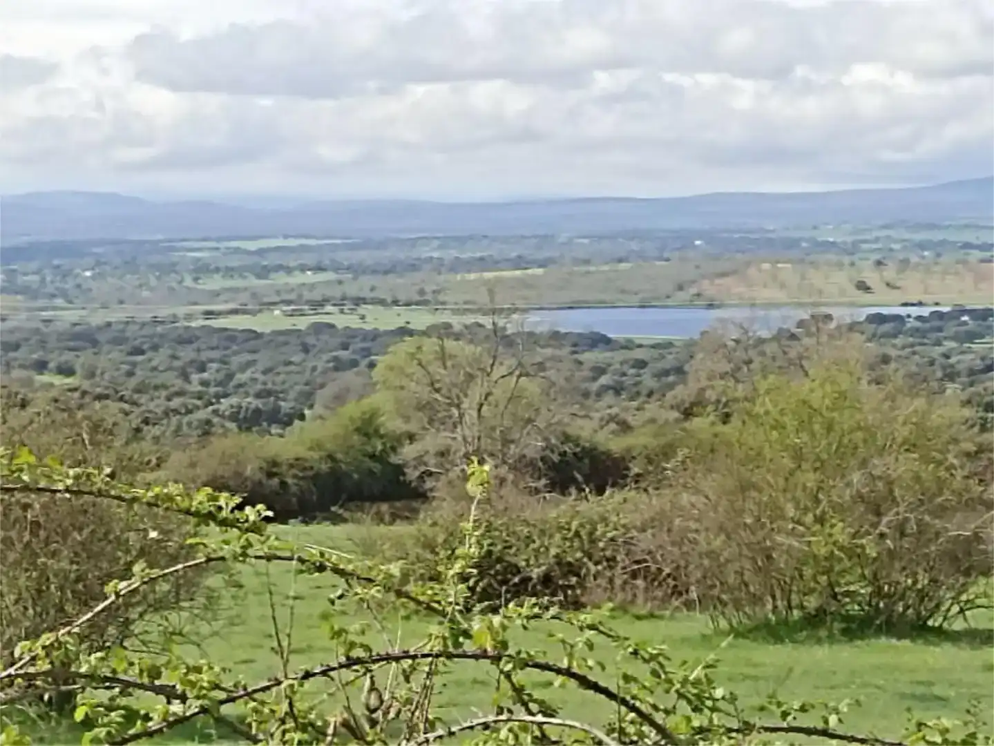 Planta baja en venta en Membribe de la Sierra con Amueblado