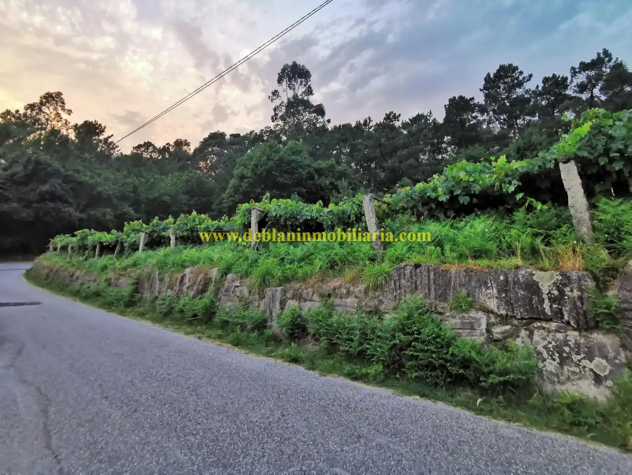 Terreno residencial en venta en Cotarel - Ribadelouro, imagen 7