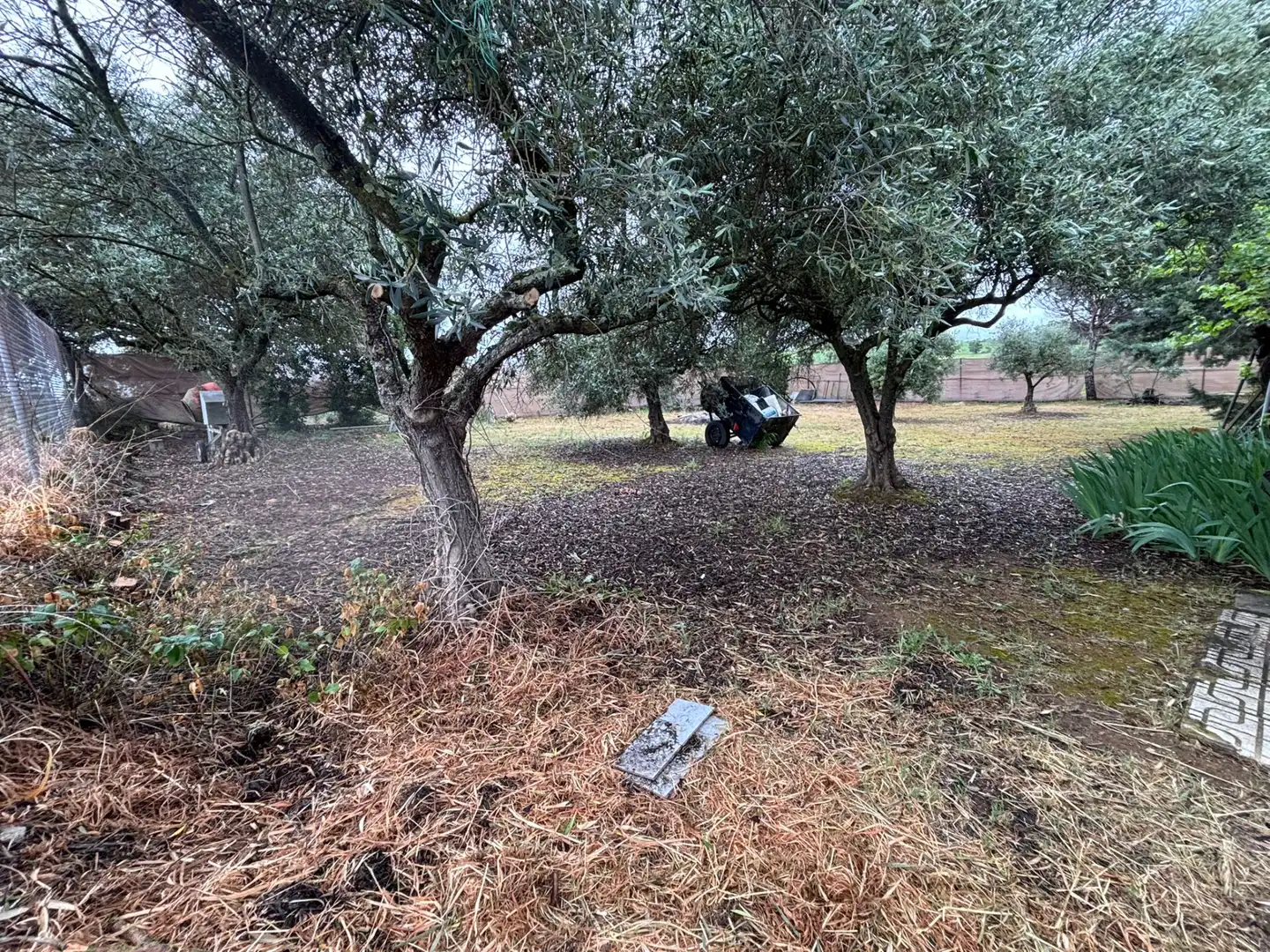 Casa o xalet en venda en Mérida amb Aire condicionat, Calefacció i Jardí privat