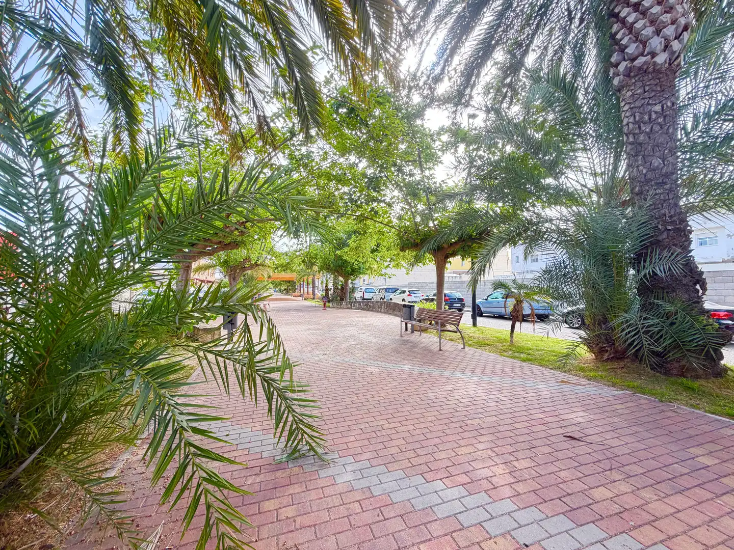Exterior view of Residential for sale in Palmera