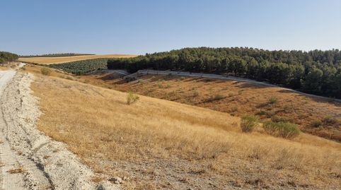 FINCA RUSTICA EN SANTA FE 21Ha, immagine 4