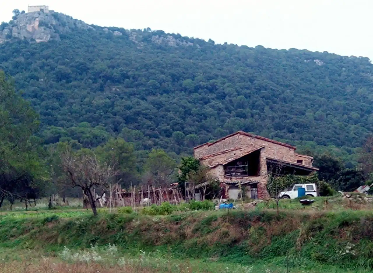 Landhaus mit Garten zum Verkauf in Amer, imagen 33