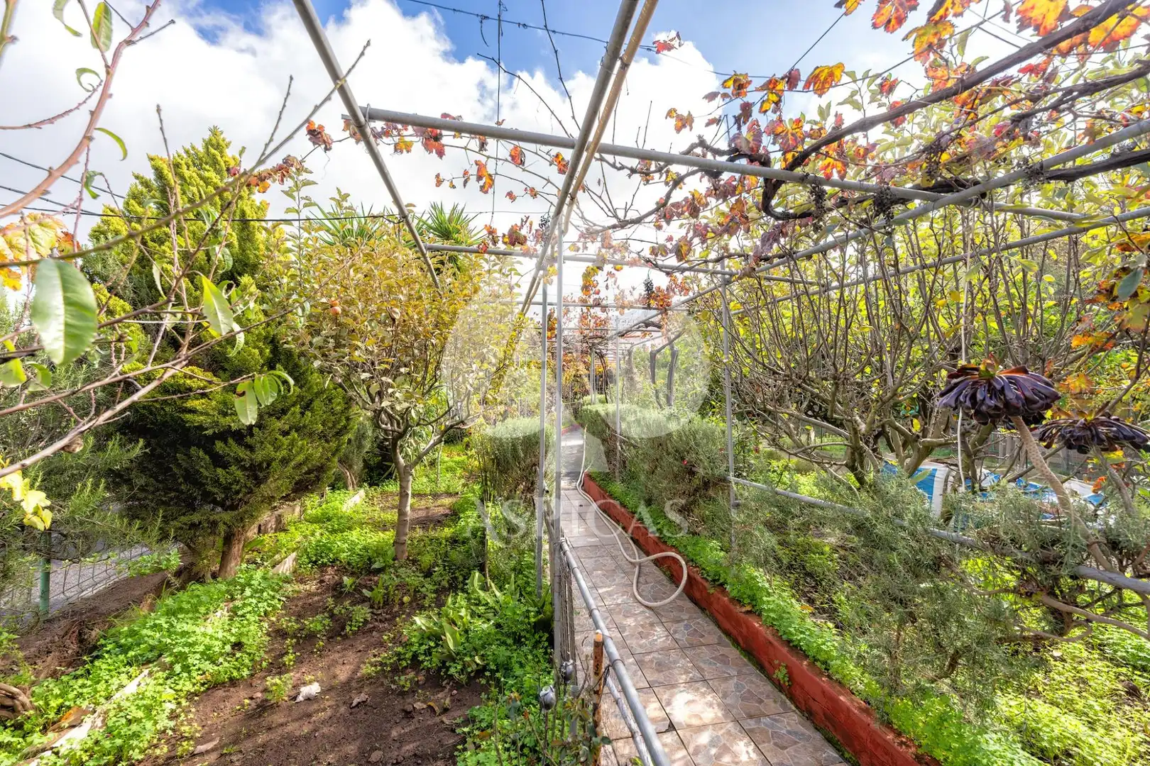 Casa rústica amb jardí en venda a Calle Los Parrales 12, imagen 24