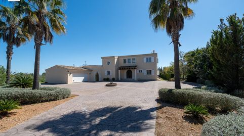 Foto 5 de Casa o xalet de lloguer a Binissalem, Illes Balears