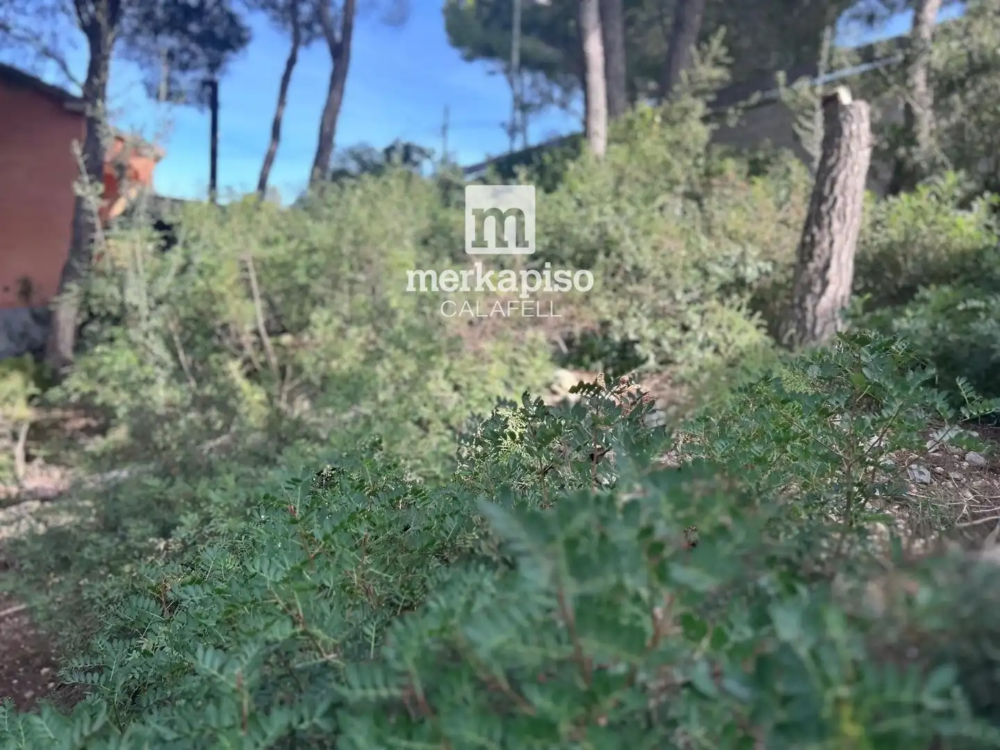 Rural land for sale in Segur de Calafell, imagen 16