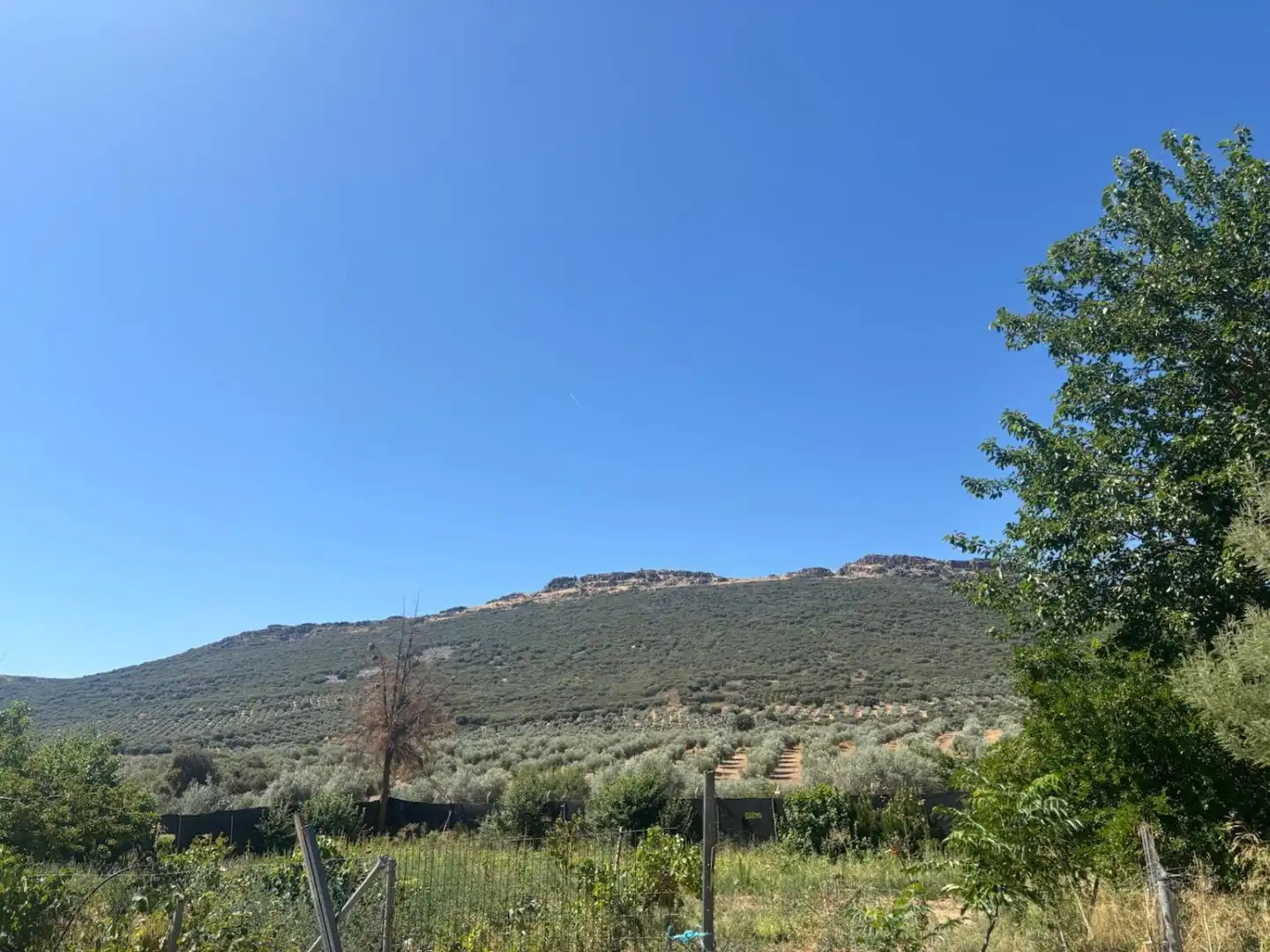 Xalet en venda a Malagón, imagen 7