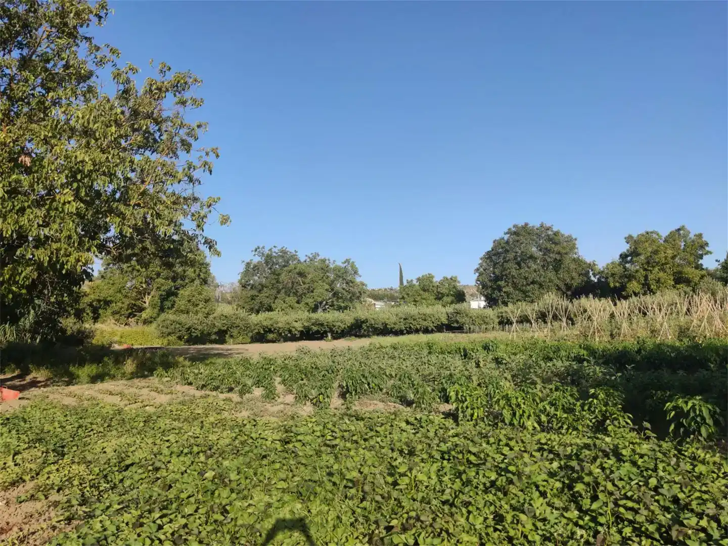 Grundstücke zum Verkauf in Ronda