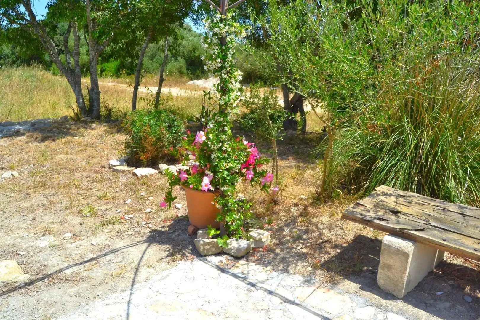 Garten von Country house zum Verkauf in Muro mit Klimaanlage, Heizung und Privatgarten