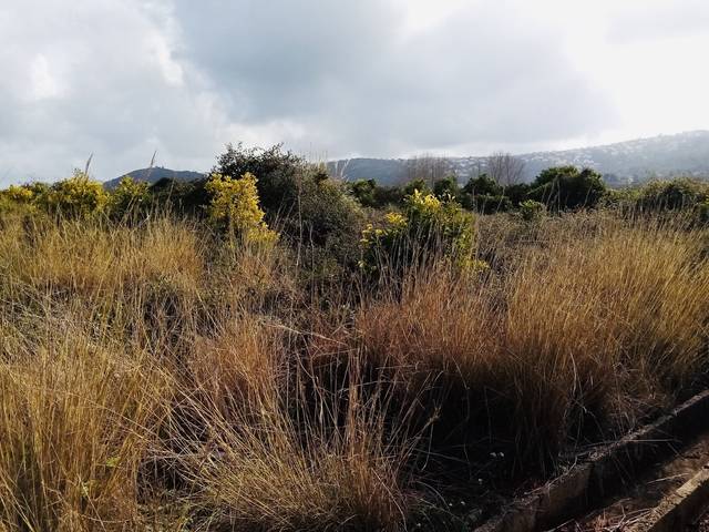 Terreno en Venta en Pedreguer