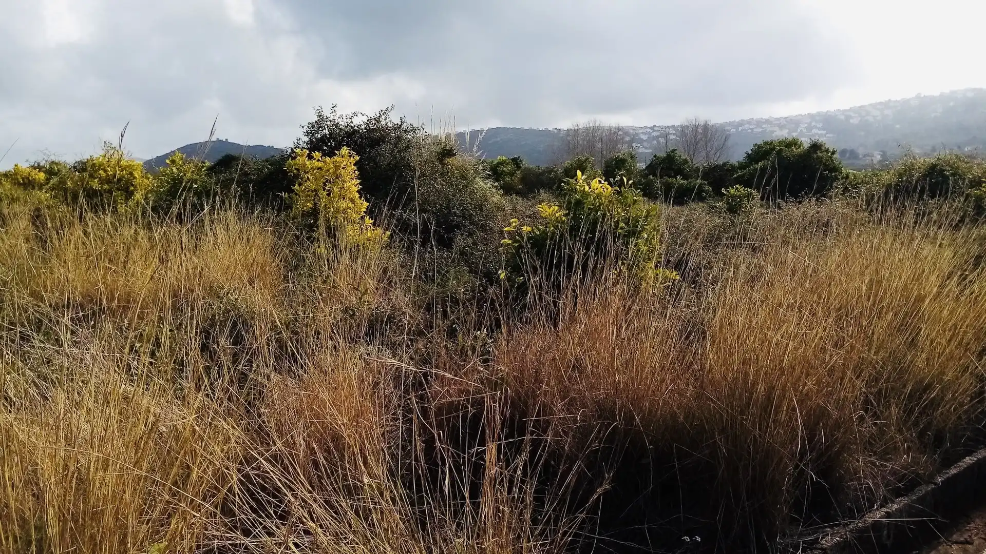 Terreno en venta en Pedreguer