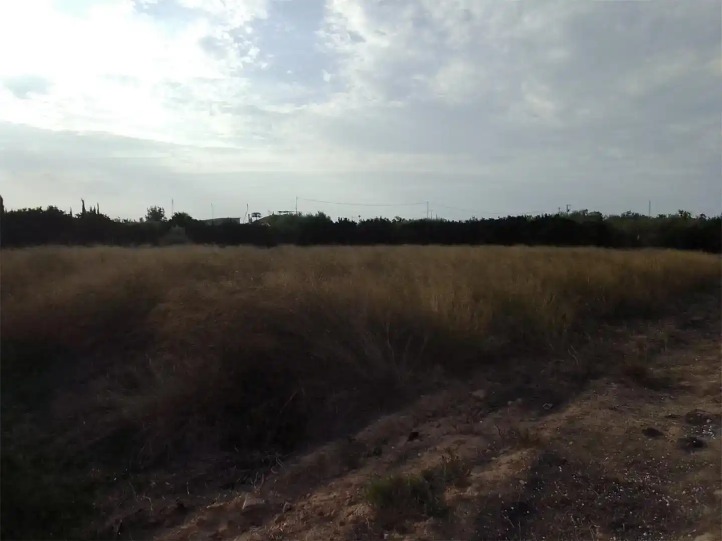 Land for sale in Guardamar del Segura