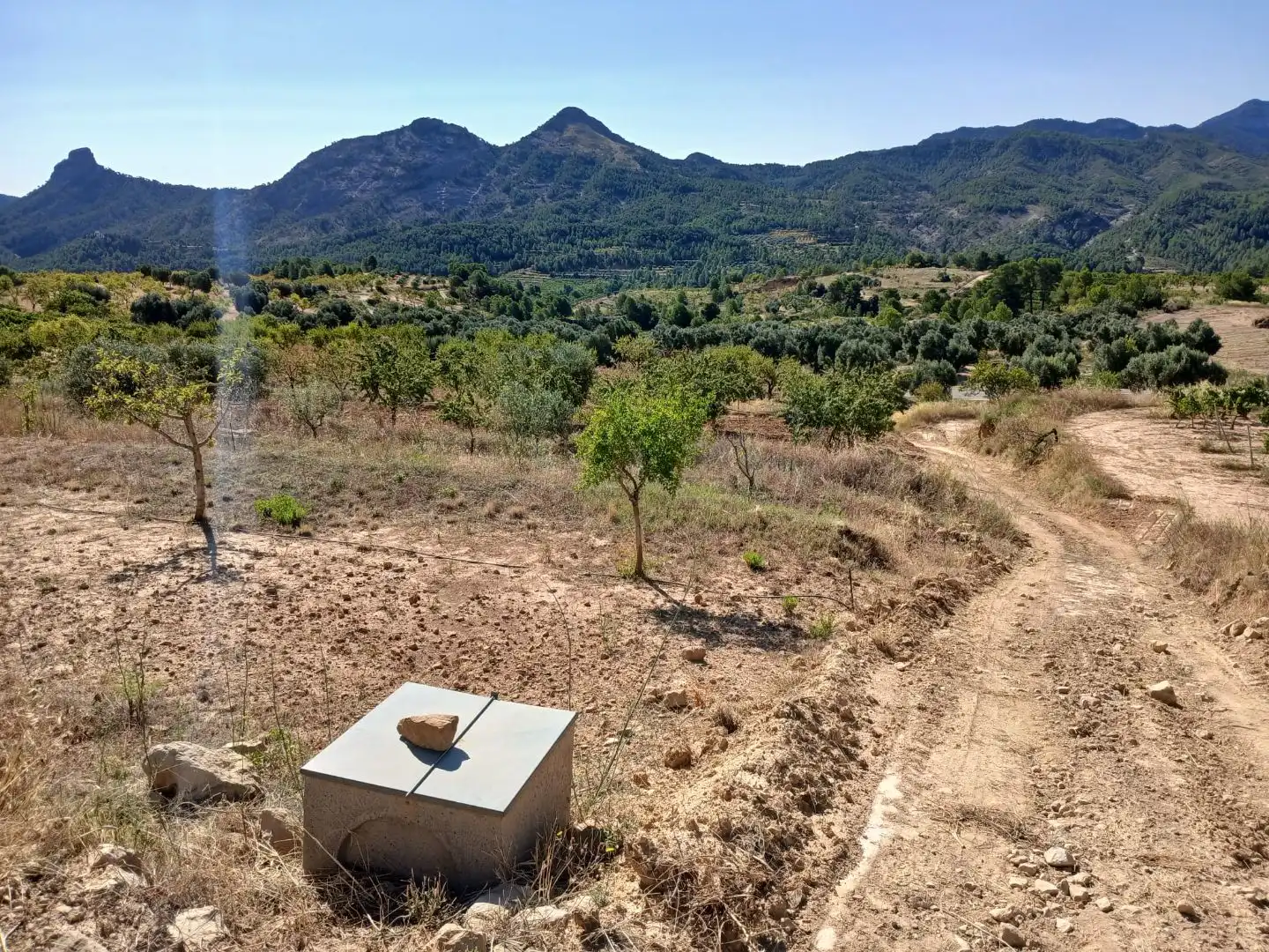 Rural land for sale in T334 13, imagen 7
